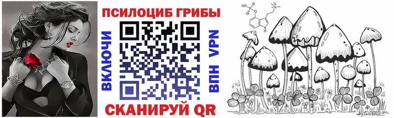 Псилоцибиновые грибы Psilocybe  Серов 