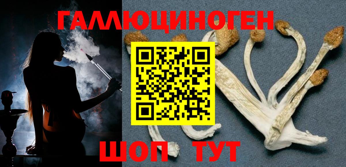 Галлюциногенные грибы прущие грибы  Вход с VPN  Серов  Псилоцибиновые грибы Psilocybine cubensis 