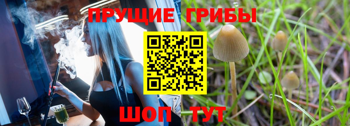 Псилоцибиновые грибы MAGIC MUSHROOMS Серов